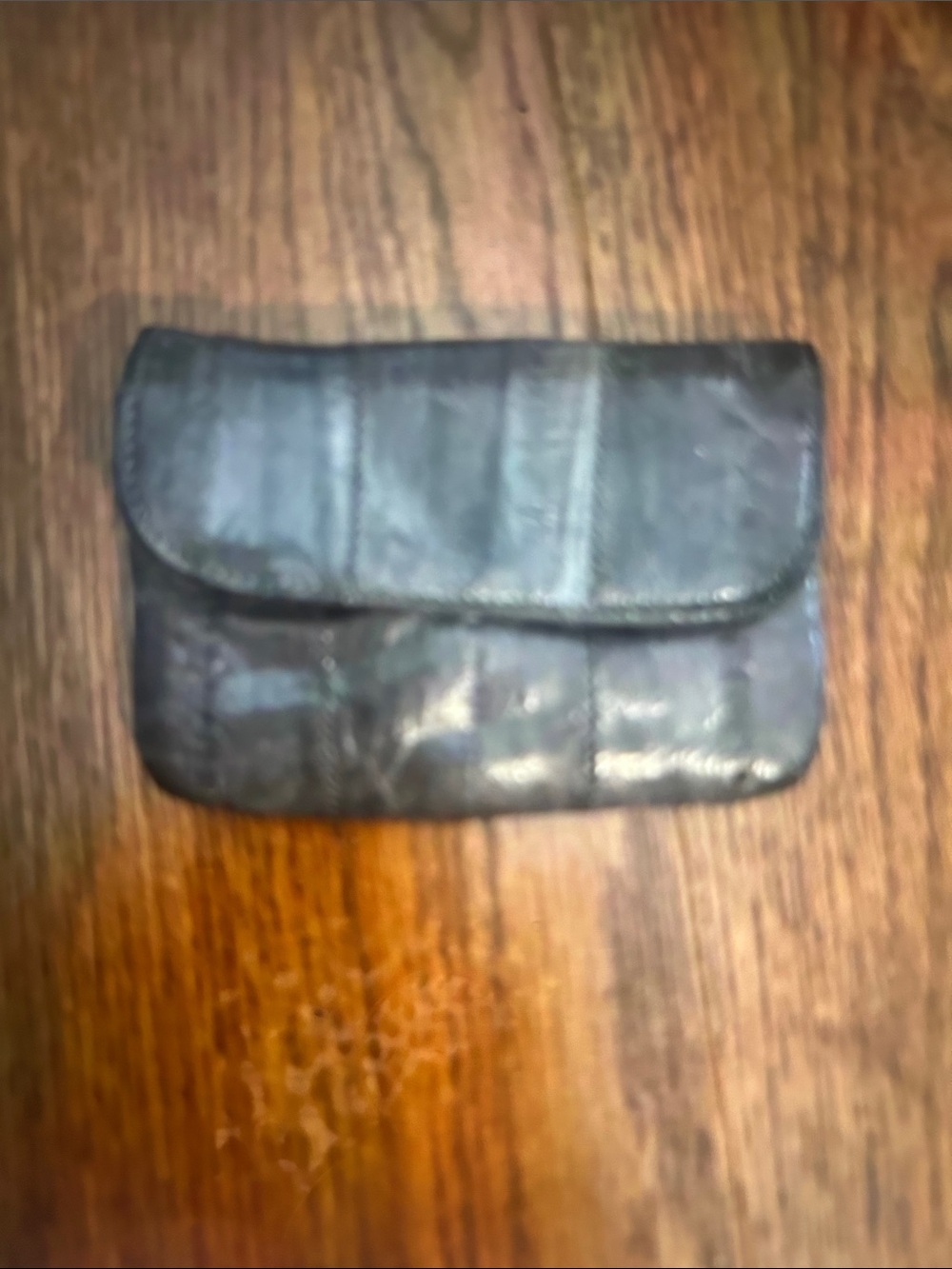 Snakeskin Change Purse